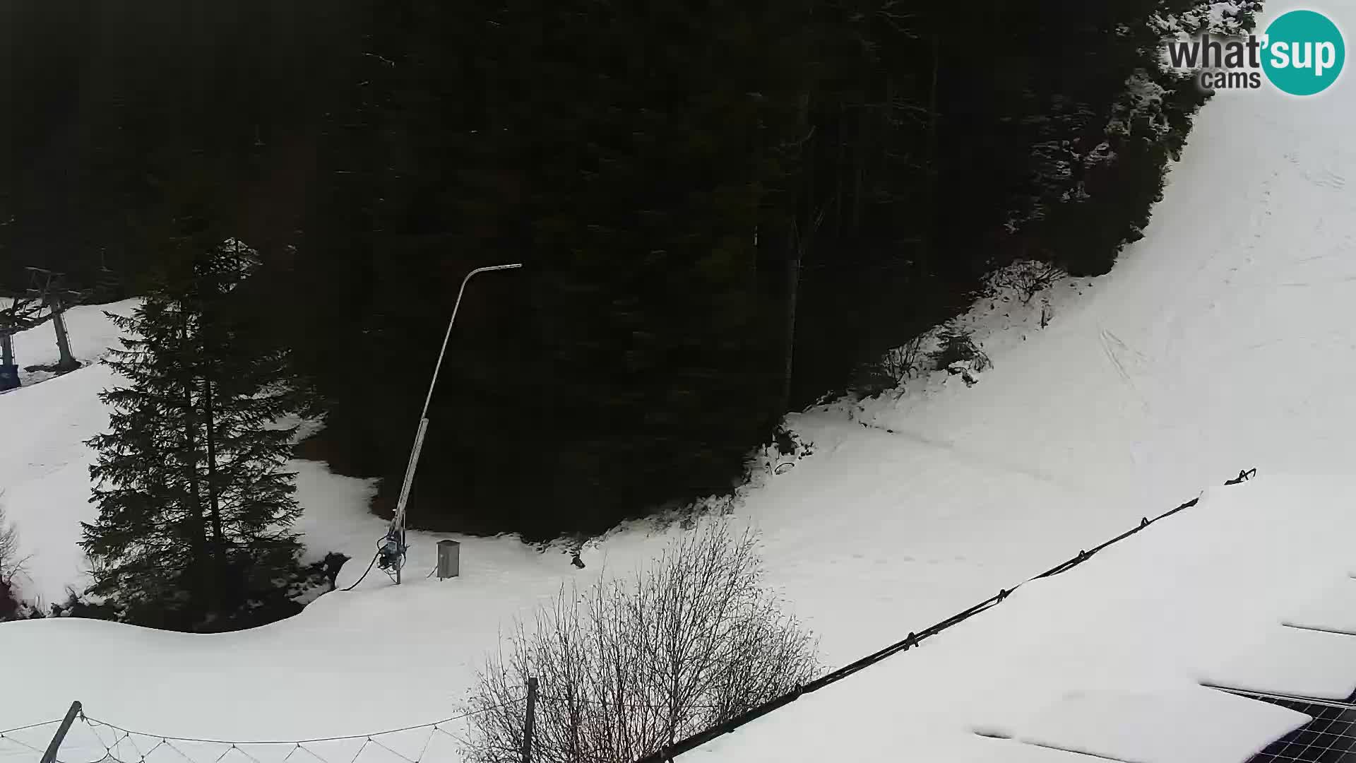 Camera en vivo Rogla appartamentos Dandi – Jurgovo