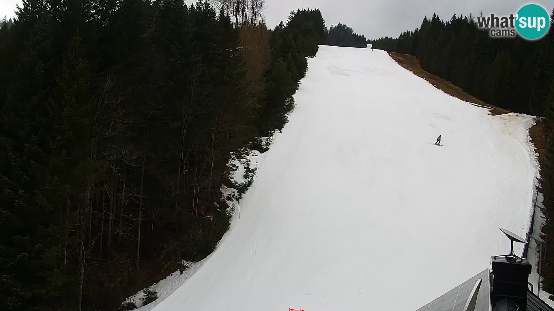 Web kamera Rogla apartmani Dandi – Jurgovo