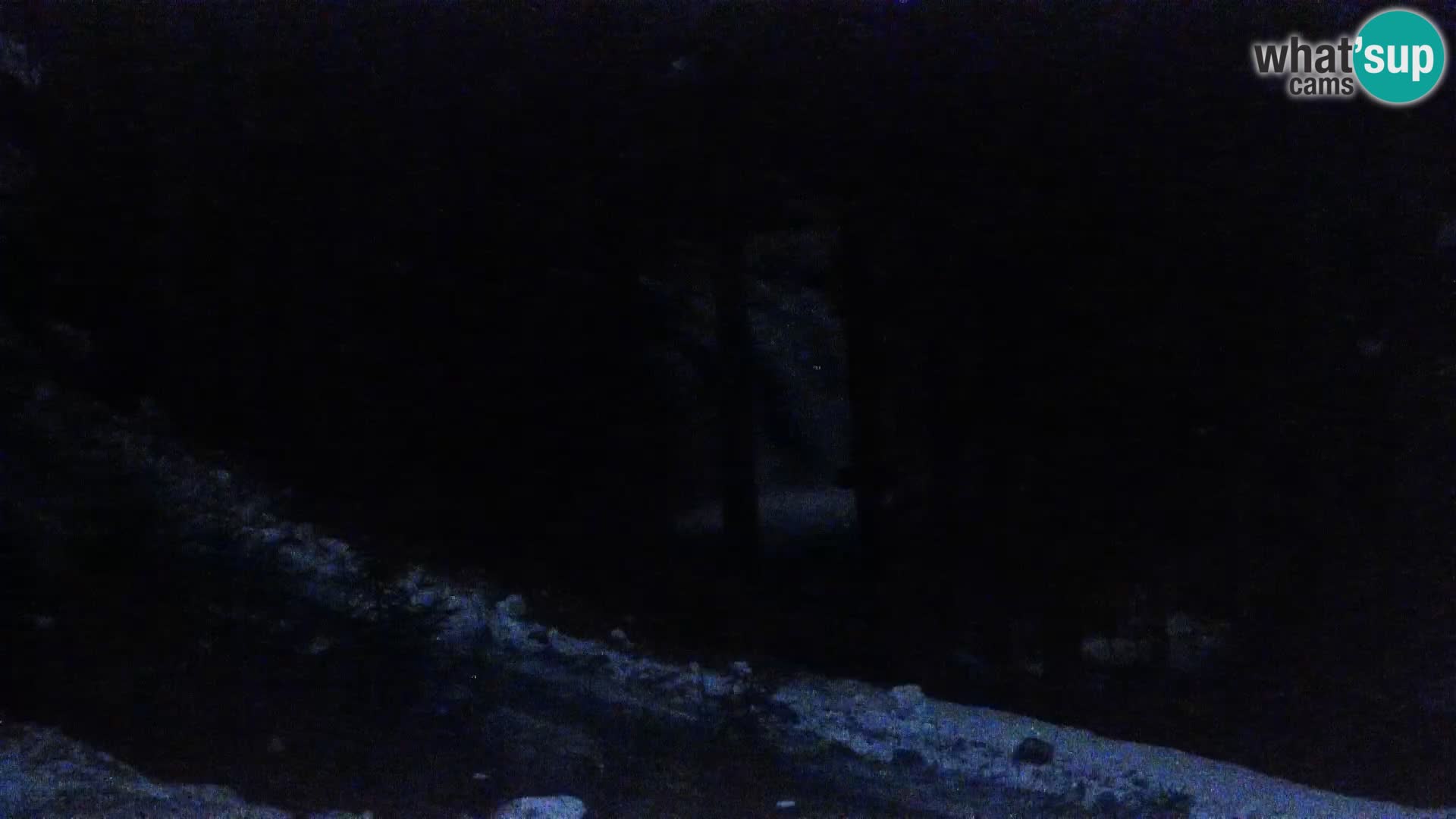 Webcam Rogla Wohnungen Dandi – Jurgovo