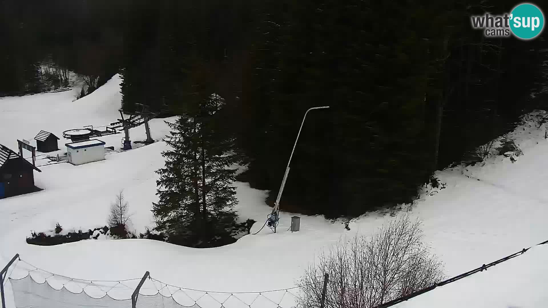 Spletna kamera Rogla apartmaji Dandi – Jurgovo