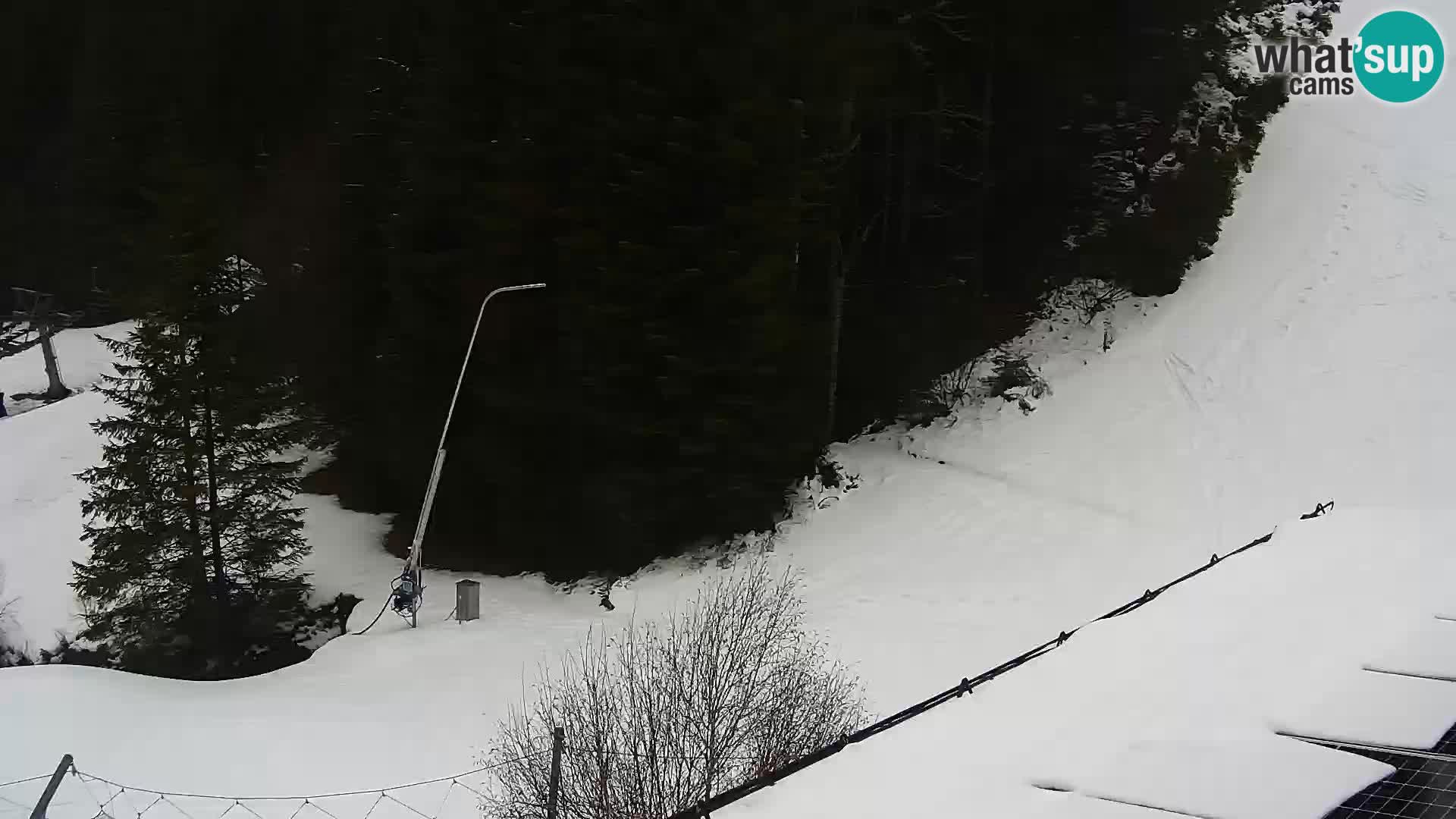 Camera en vivo Rogla appartamentos Dandi – Jurgovo