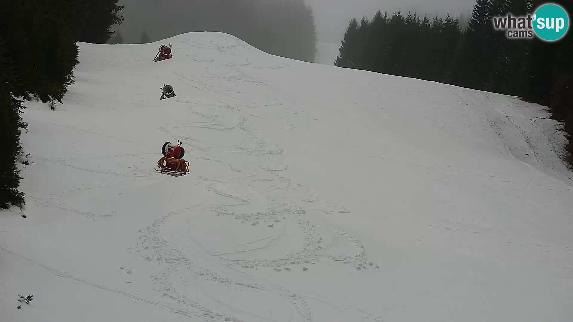 Webcam Rogla Wohnungen Dandi – Jurgovo