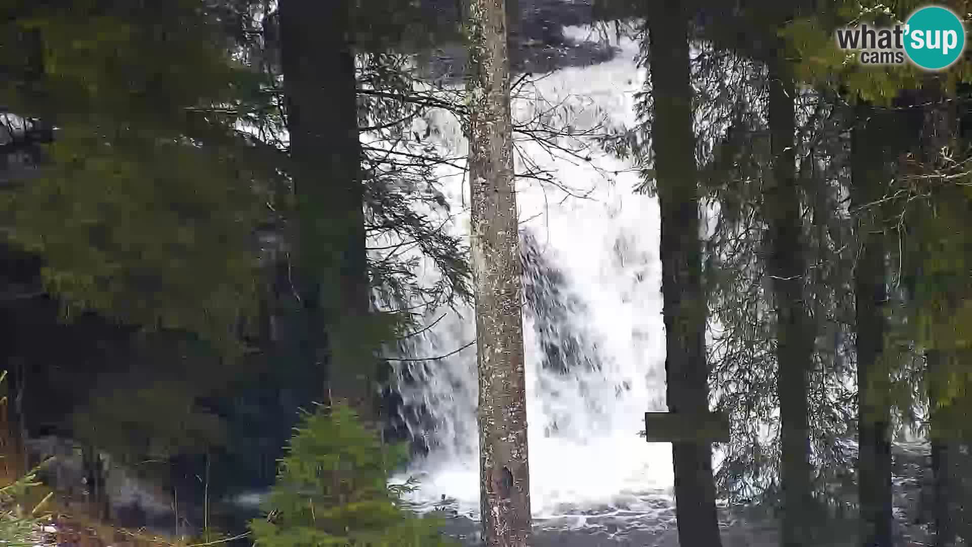 Webcam Rogla Wohnungen Dandi – Jurgovo