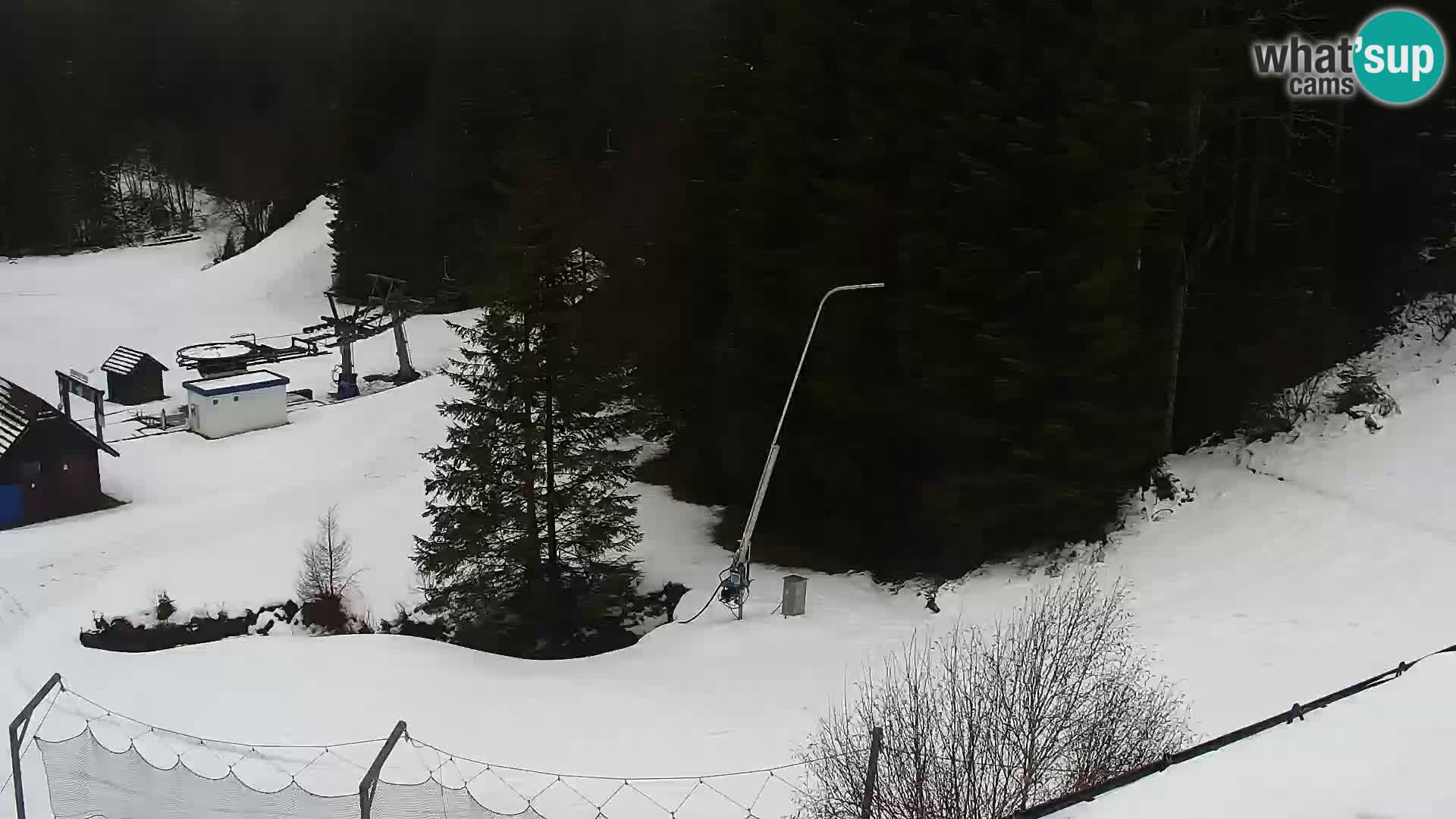 Camera en vivo Rogla appartamentos Dandi – Jurgovo