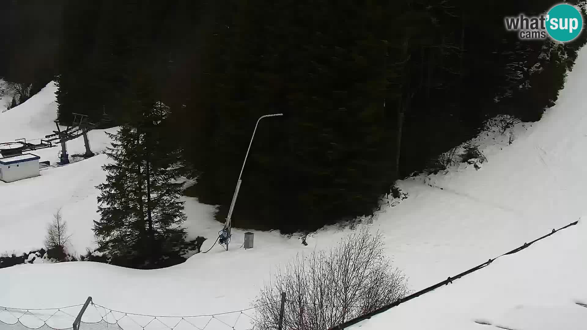 Live Rogla appartements Dandi – Jurgovo