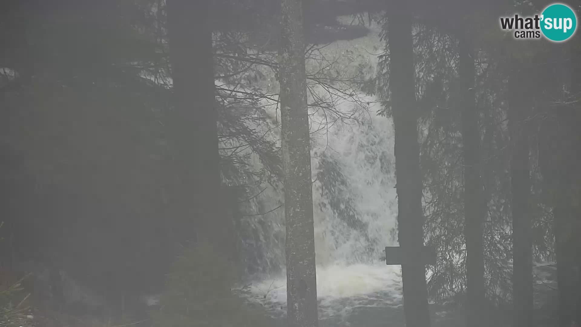 Livecam Rogla apartments Dandi – Jurgovo