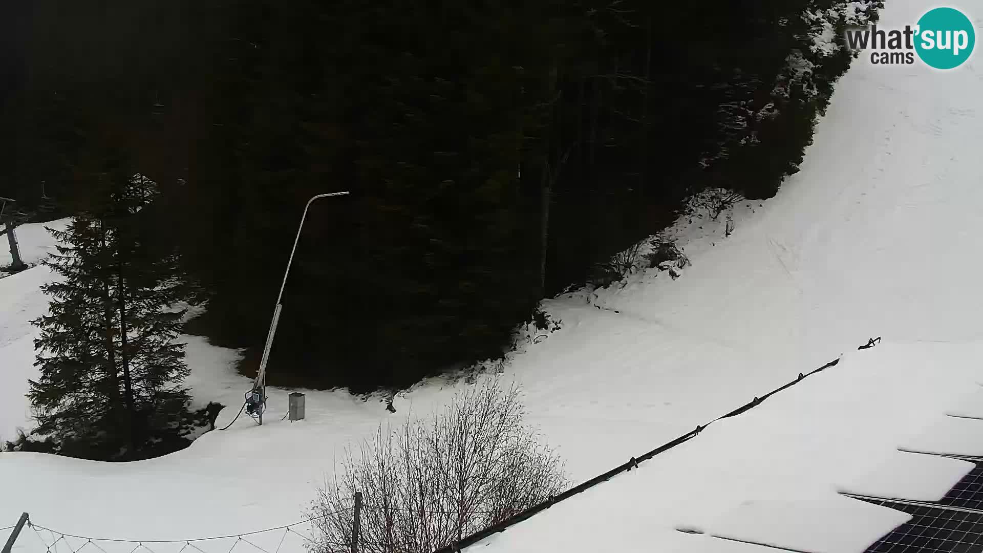 Webcam Rogla Wohnungen Dandi – Jurgovo