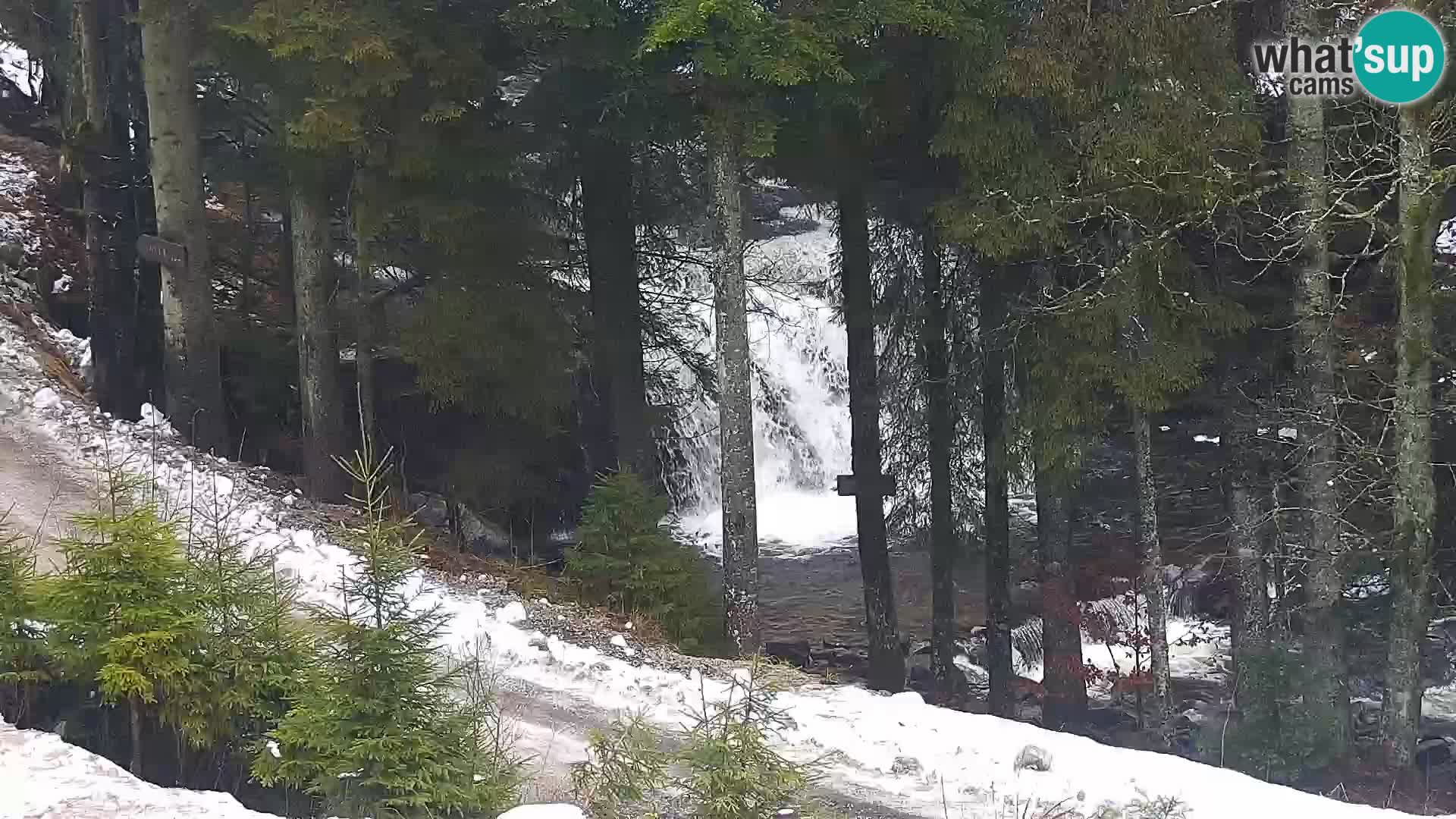 Live Rogla appartements Dandi – Jurgovo