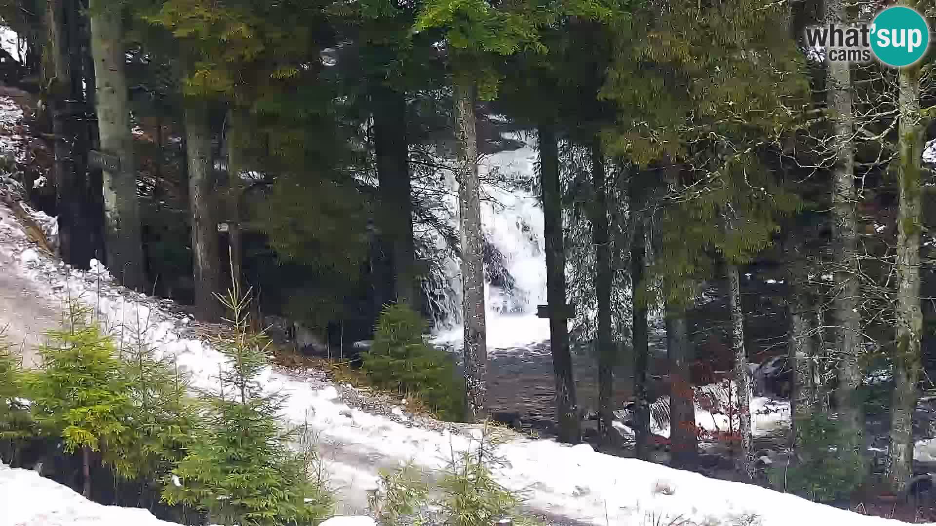 Livecam Rogla apartments Dandi – Jurgovo