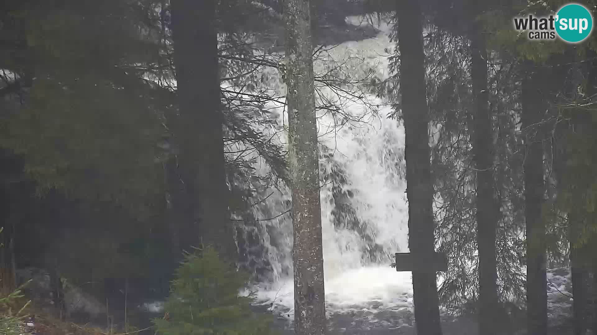 Web kamera Rogla apartmani Dandi – Jurgovo