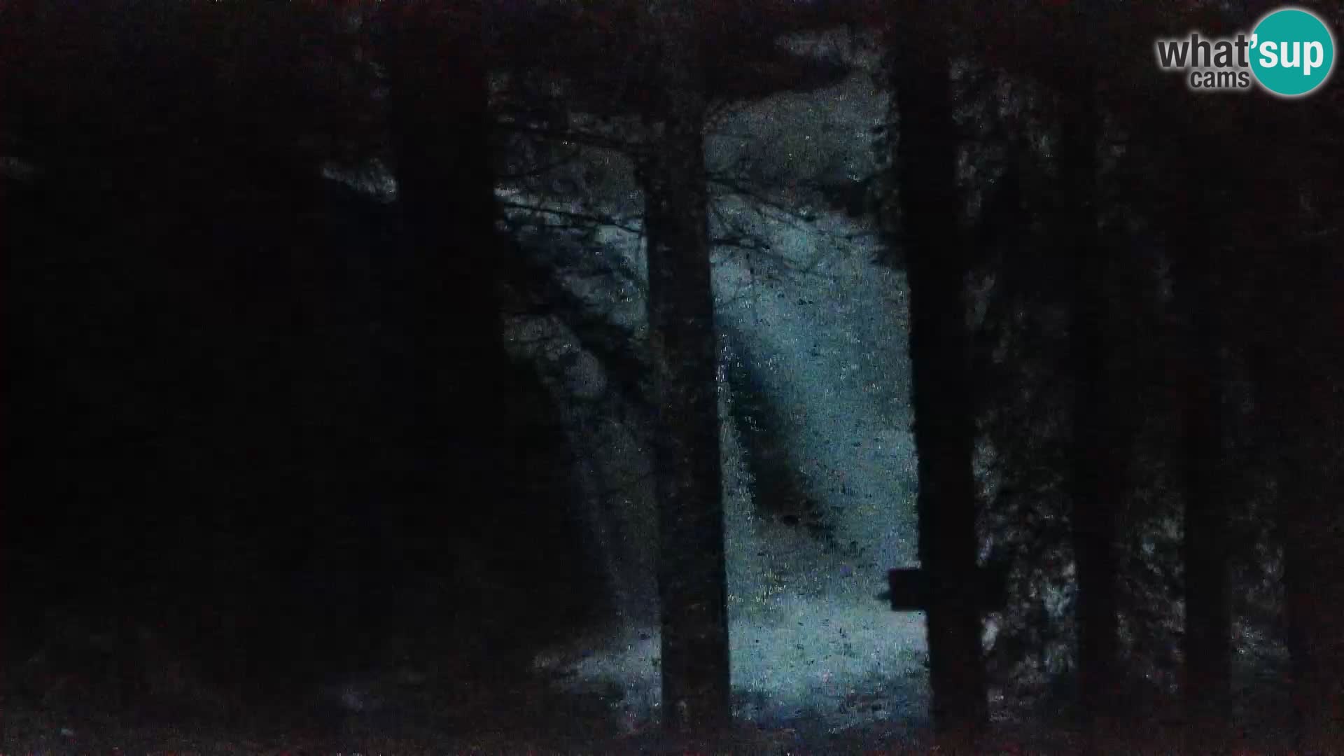 Live webcam Rogla appartamenti Dandi – Jurgovo