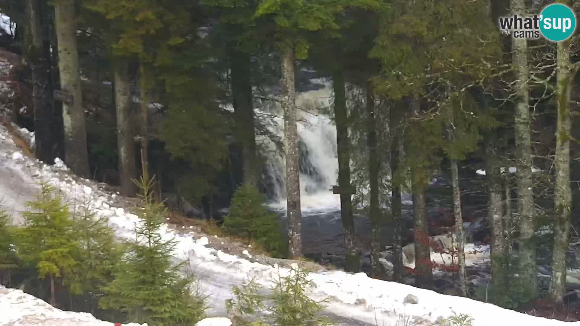 Webcam Rogla Wohnungen Dandi – Jurgovo