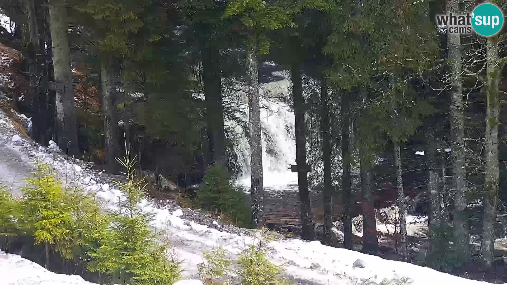 Web kamera Rogla apartmani Dandi – Jurgovo