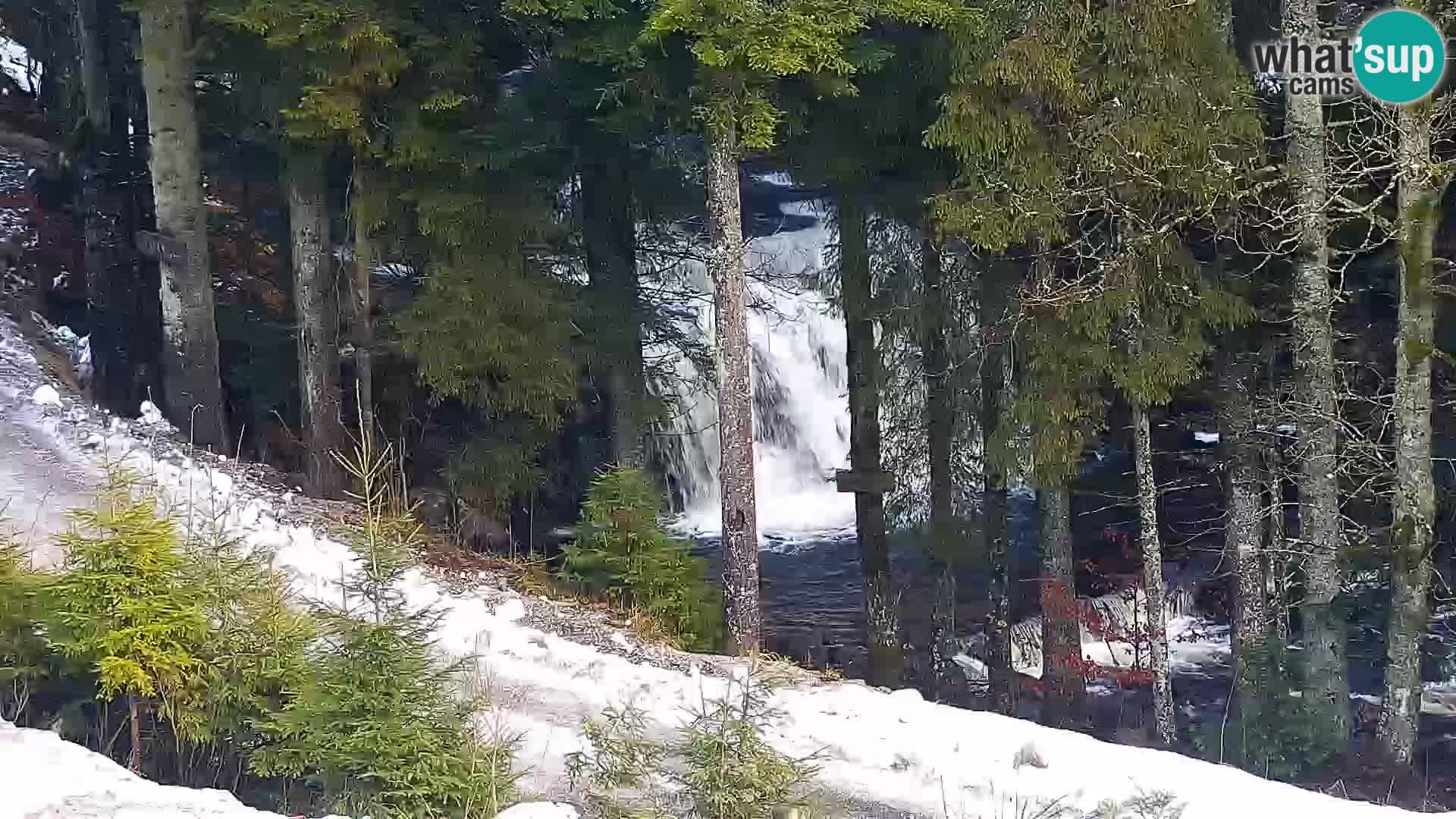 Live Rogla appartements Dandi – Jurgovo