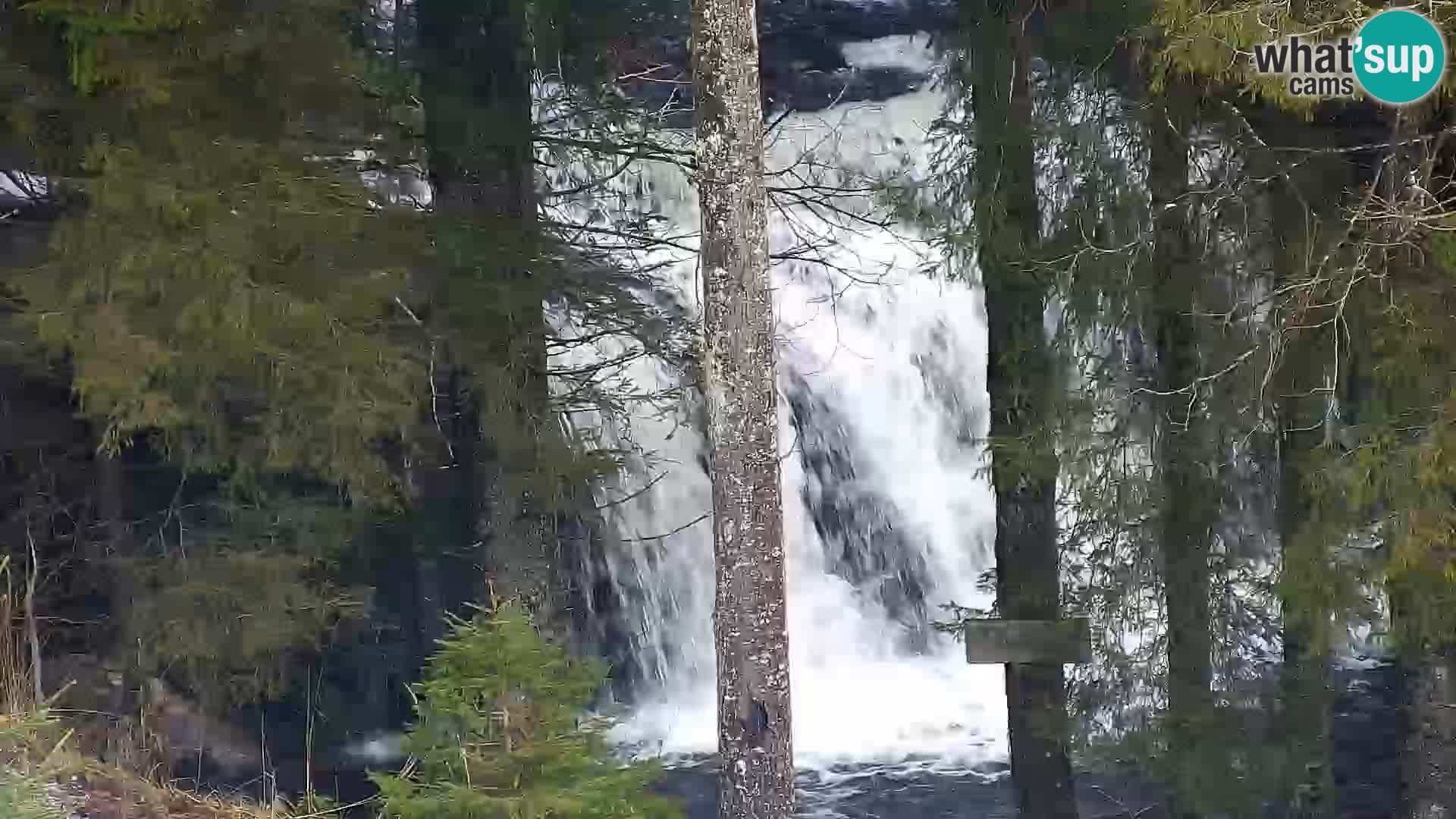 Livecam Rogla apartments Dandi – Jurgovo