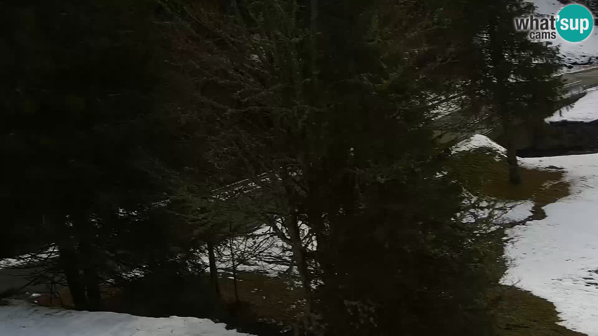 Web kamera Rogla apartmani Dandi – Jurgovo