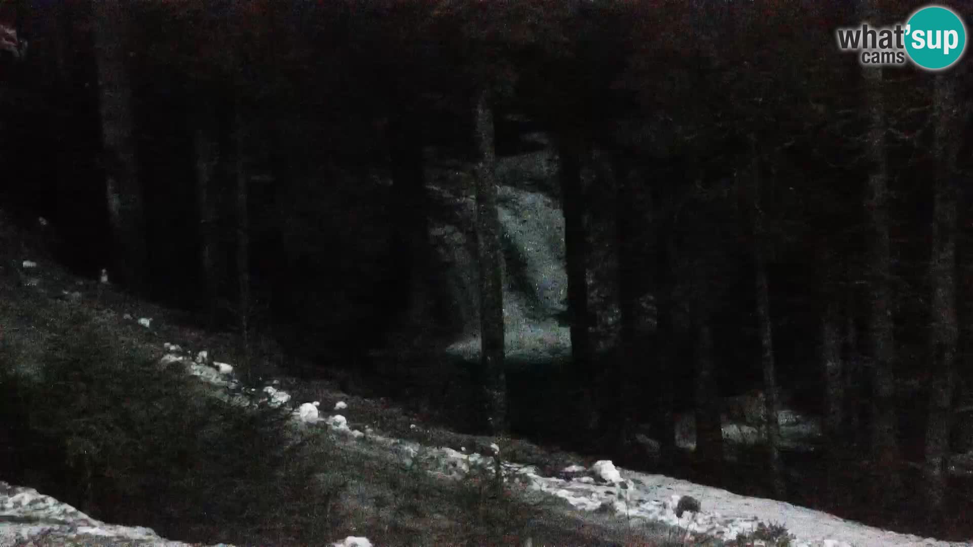 Camera en vivo Rogla appartamentos Dandi – Jurgovo