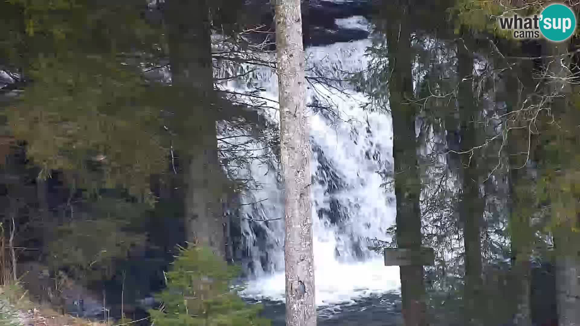 Spletna kamera Rogla apartmaji Dandi – Jurgovo