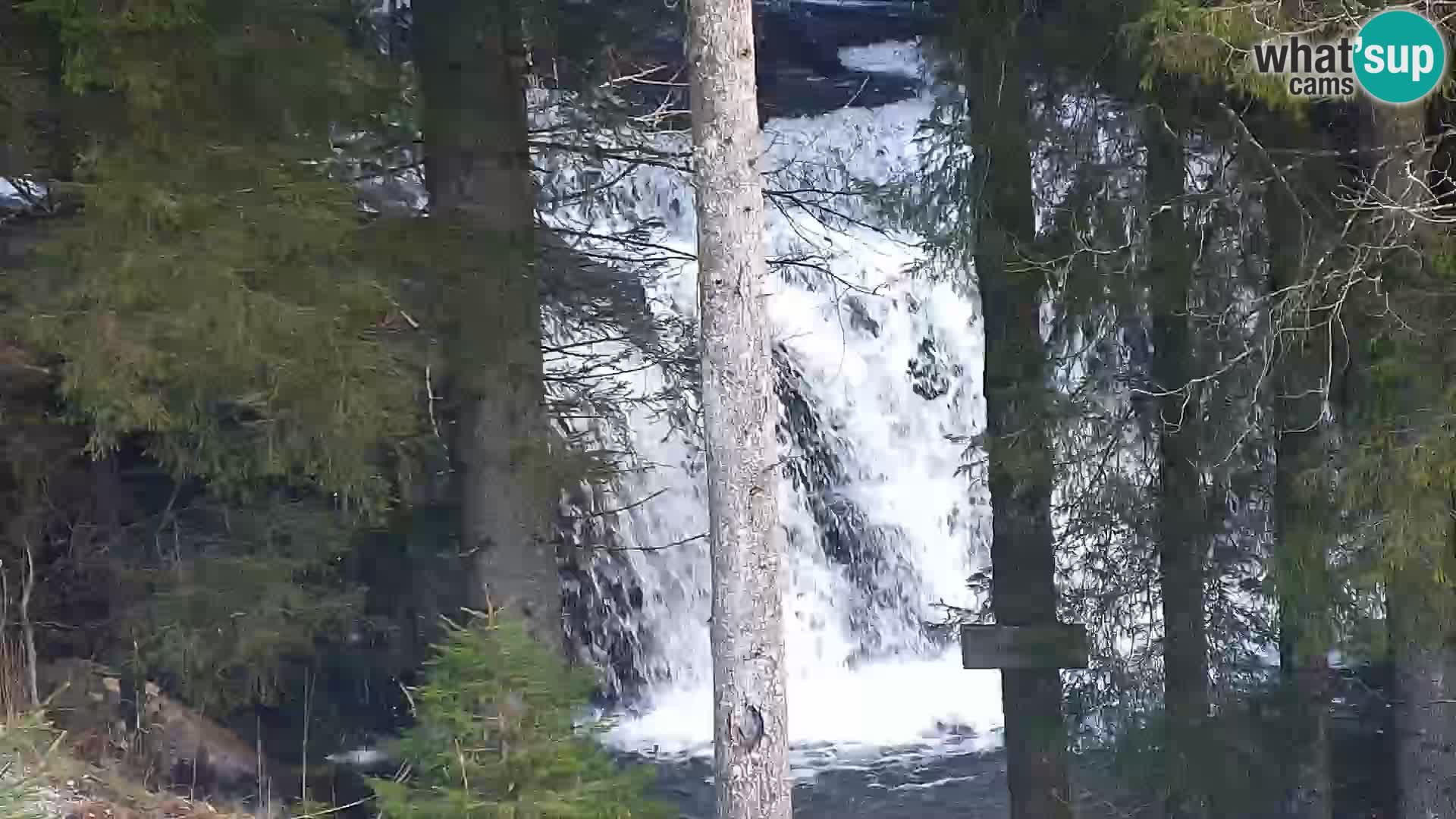 Livecam Rogla apartments Dandi – Jurgovo