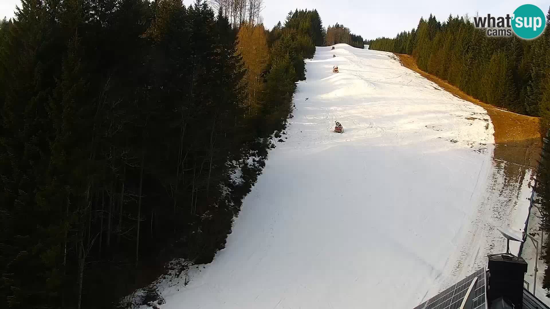 Webcam Rogla Wohnungen Dandi – Jurgovo