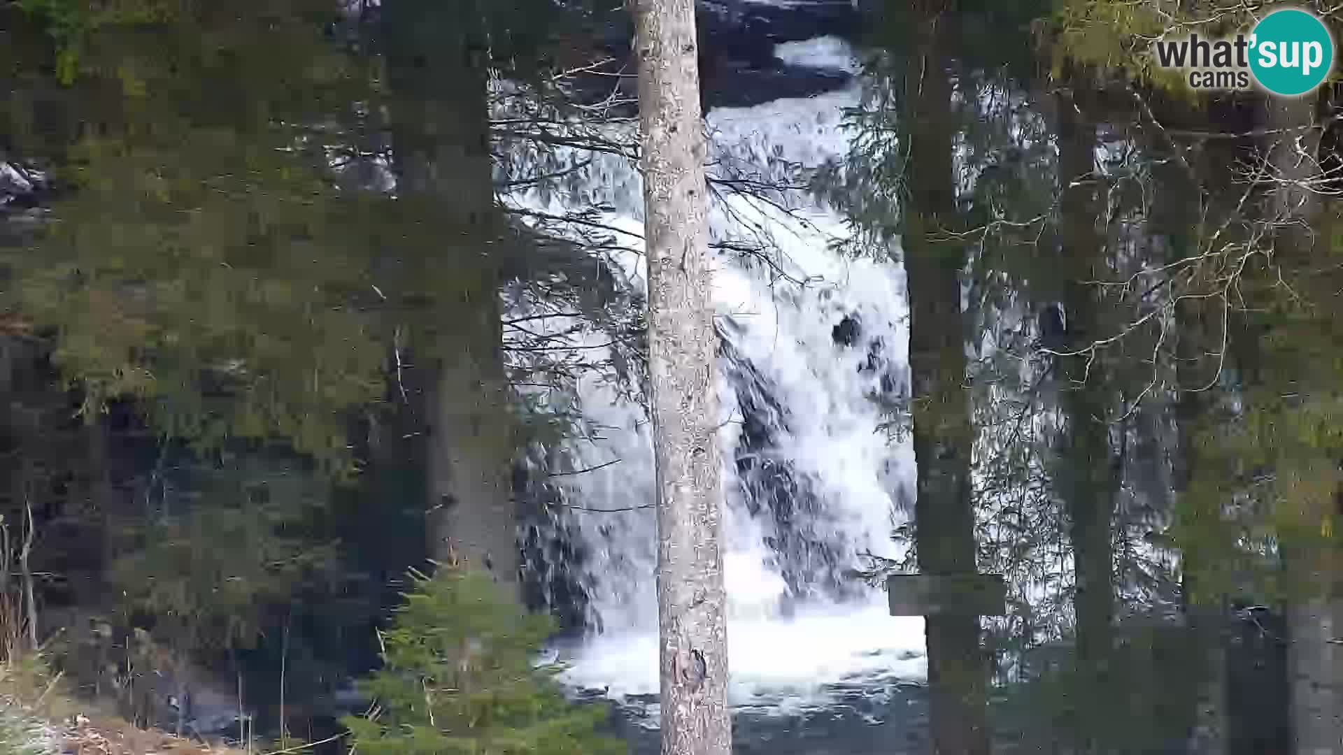 Livecam Rogla apartments Dandi – Jurgovo