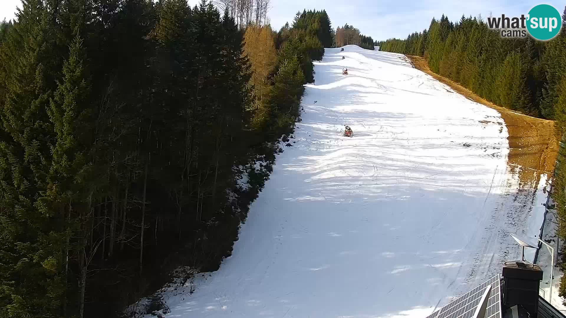 Web kamera Rogla apartmani Dandi – Jurgovo