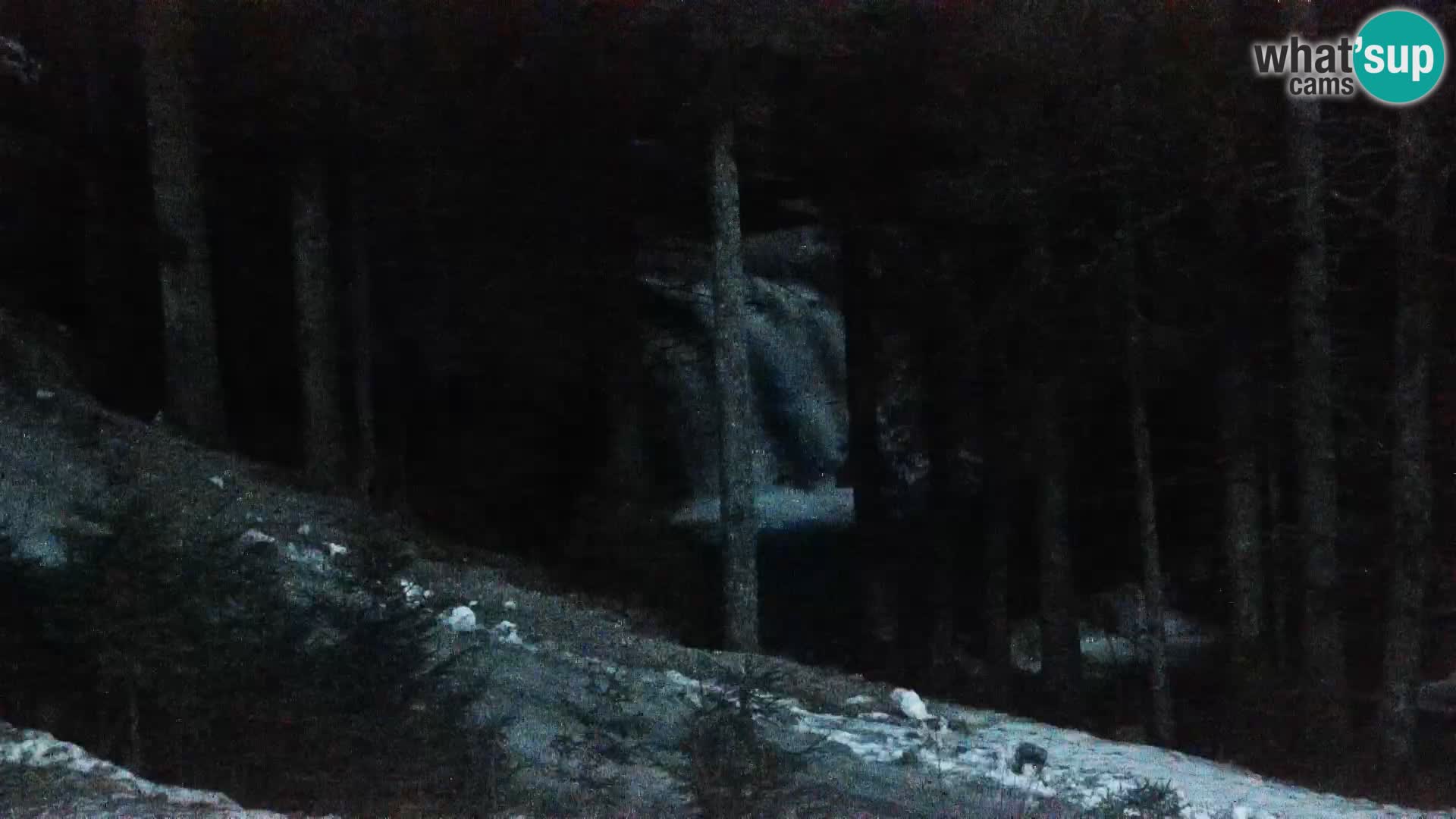 Webcam Rogla Wohnungen Dandi – Jurgovo