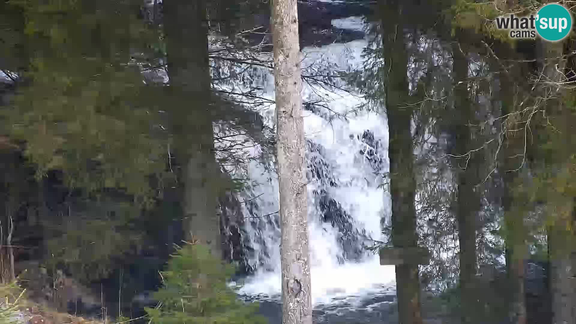 Webcam Rogla Wohnungen Dandi – Jurgovo