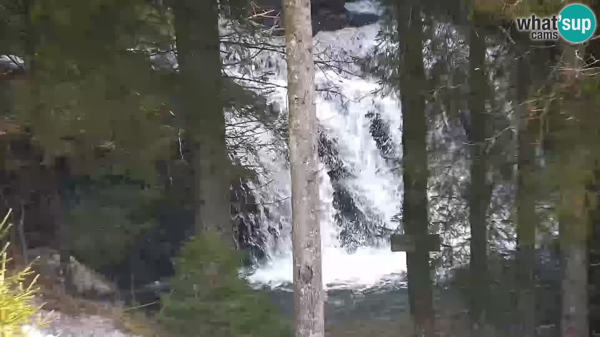 Webcam Rogla Wohnungen Dandi – Jurgovo