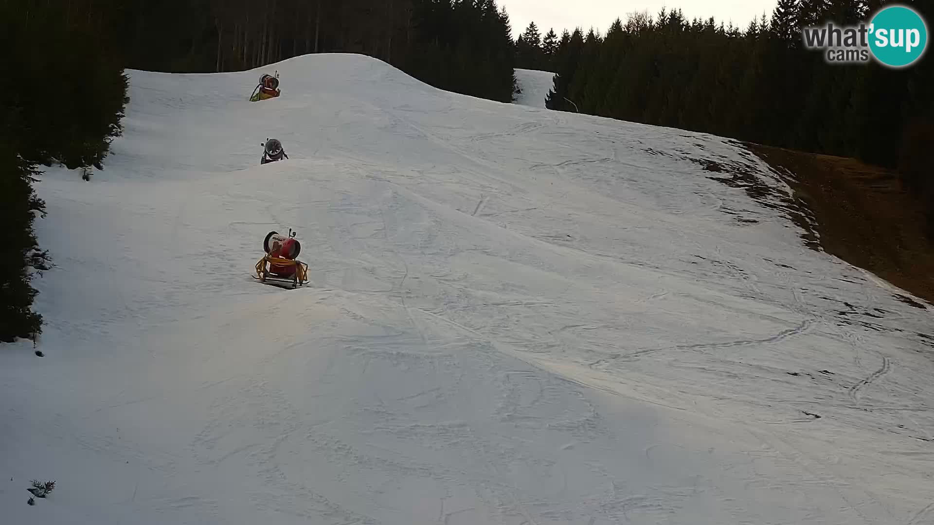 Web kamera Rogla apartmani Dandi – Jurgovo