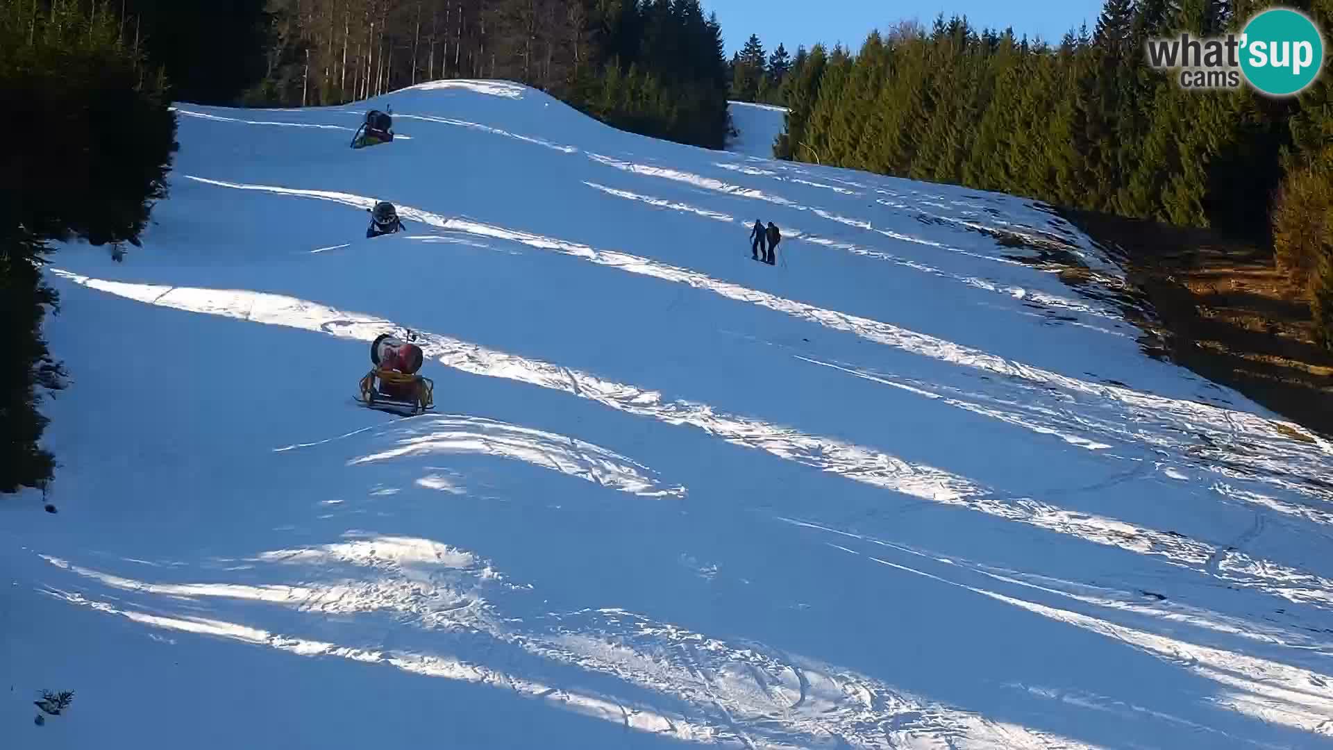 Webcam Rogla Wohnungen Dandi – Jurgovo