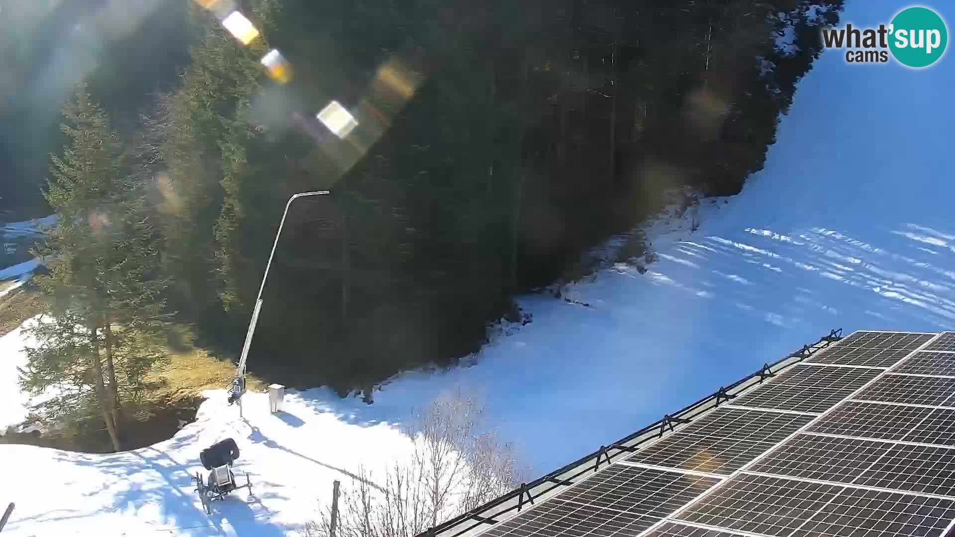 Live Rogla appartements Dandi – Jurgovo