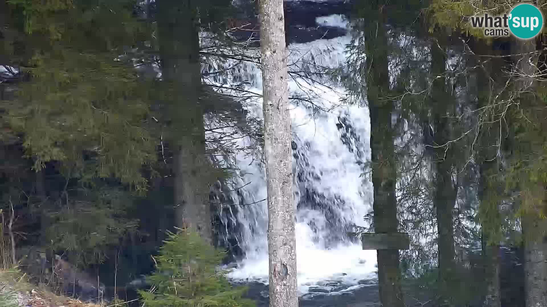 Spletna kamera Rogla apartmaji Dandi – Jurgovo