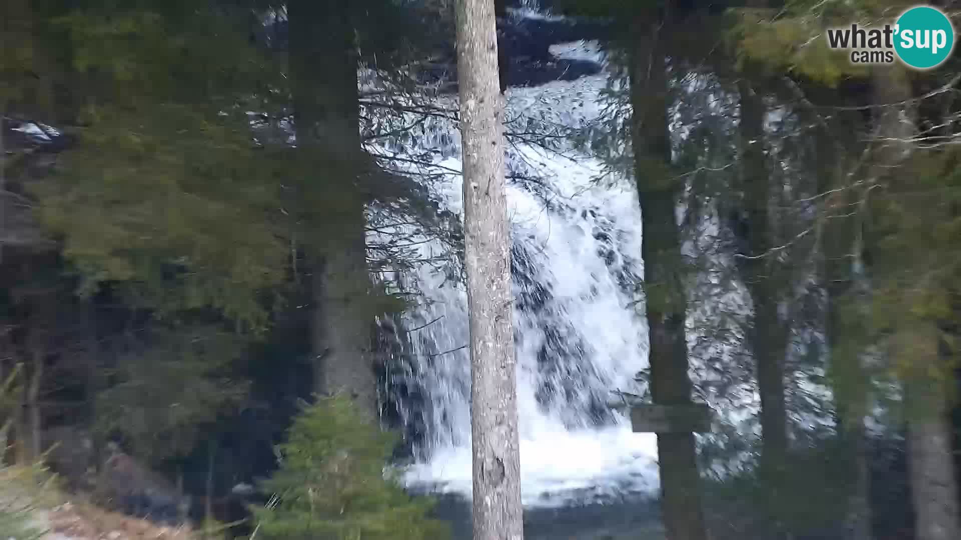 Webcam Rogla Wohnungen Dandi – Jurgovo