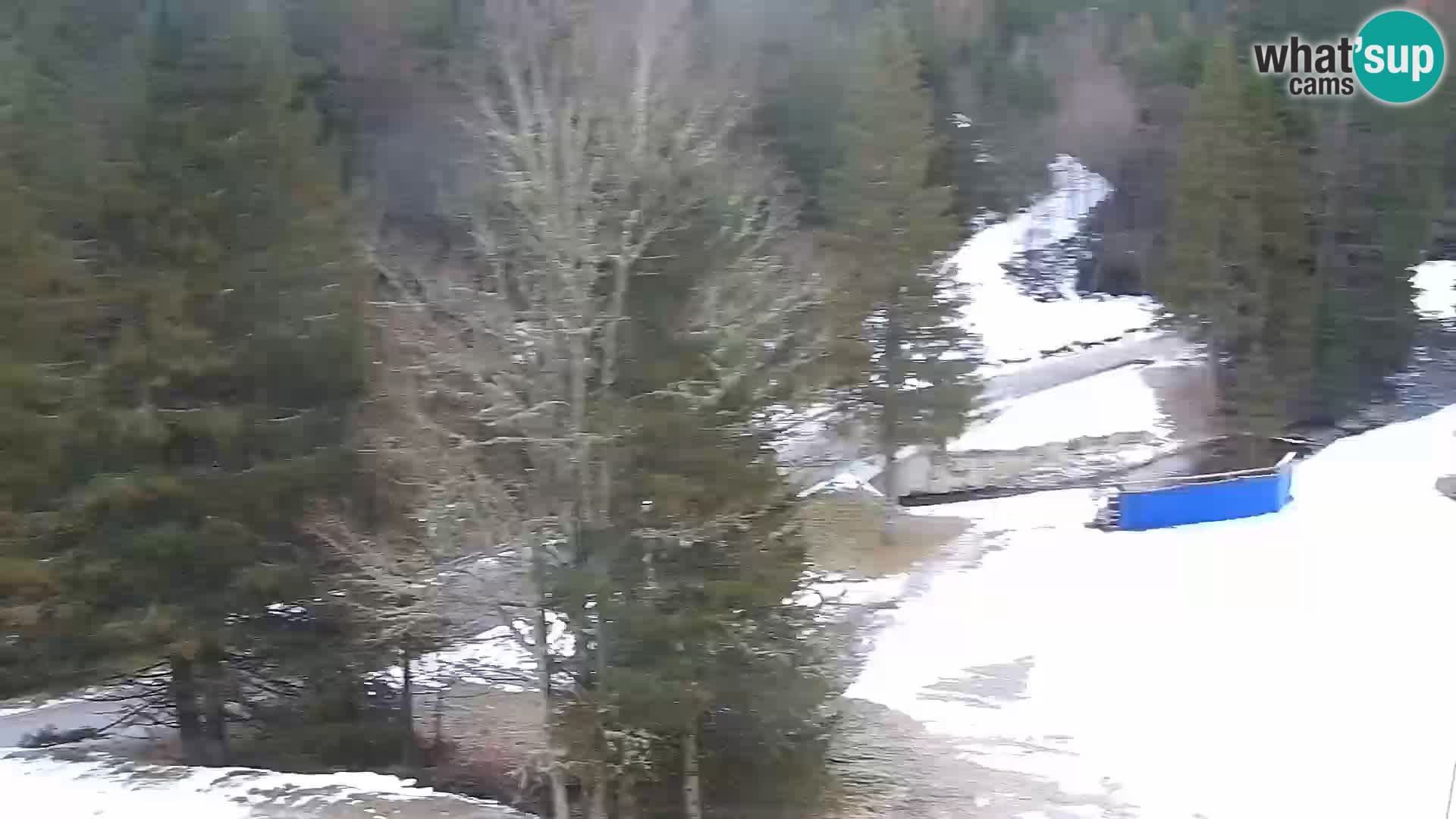 Livecam Rogla apartments Dandi – Jurgovo