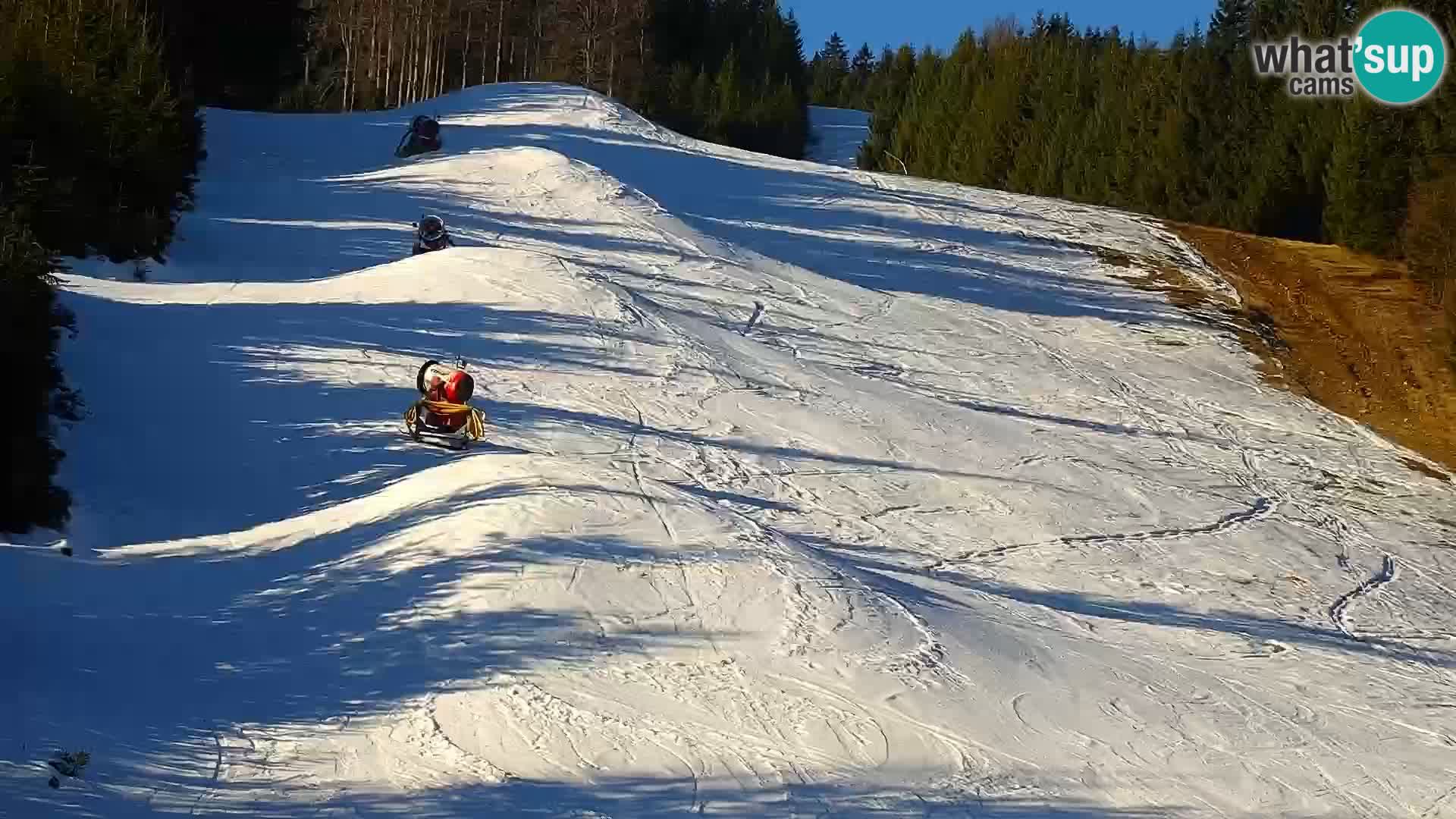 Webcam Rogla Wohnungen Dandi – Jurgovo