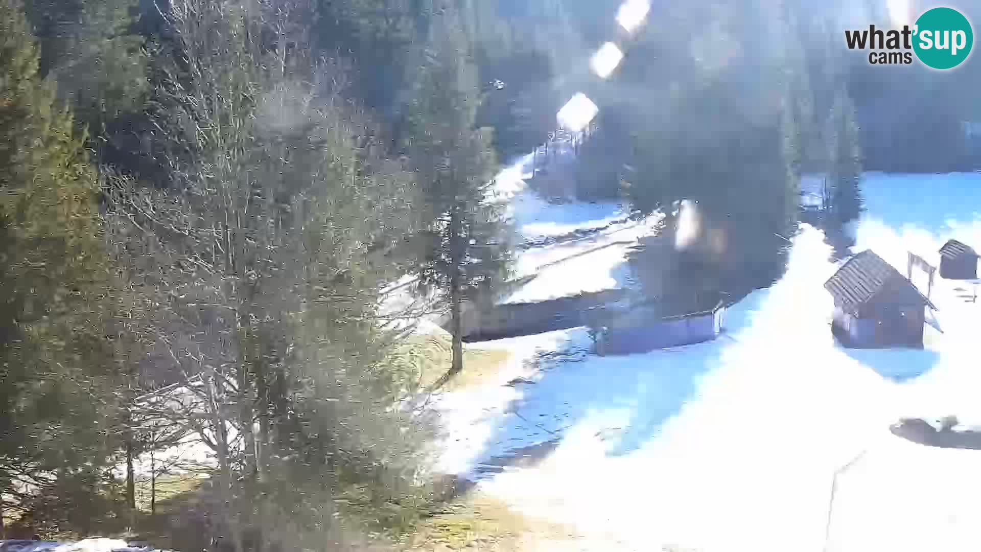 Live webcam Rogla appartamenti Dandi – Jurgovo