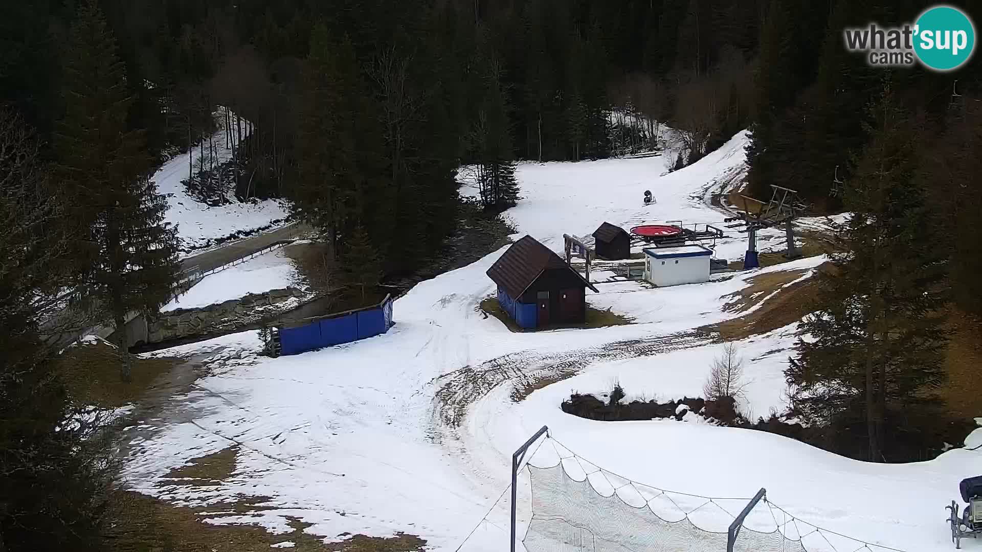 Livecam Rogla apartments Dandi – Jurgovo