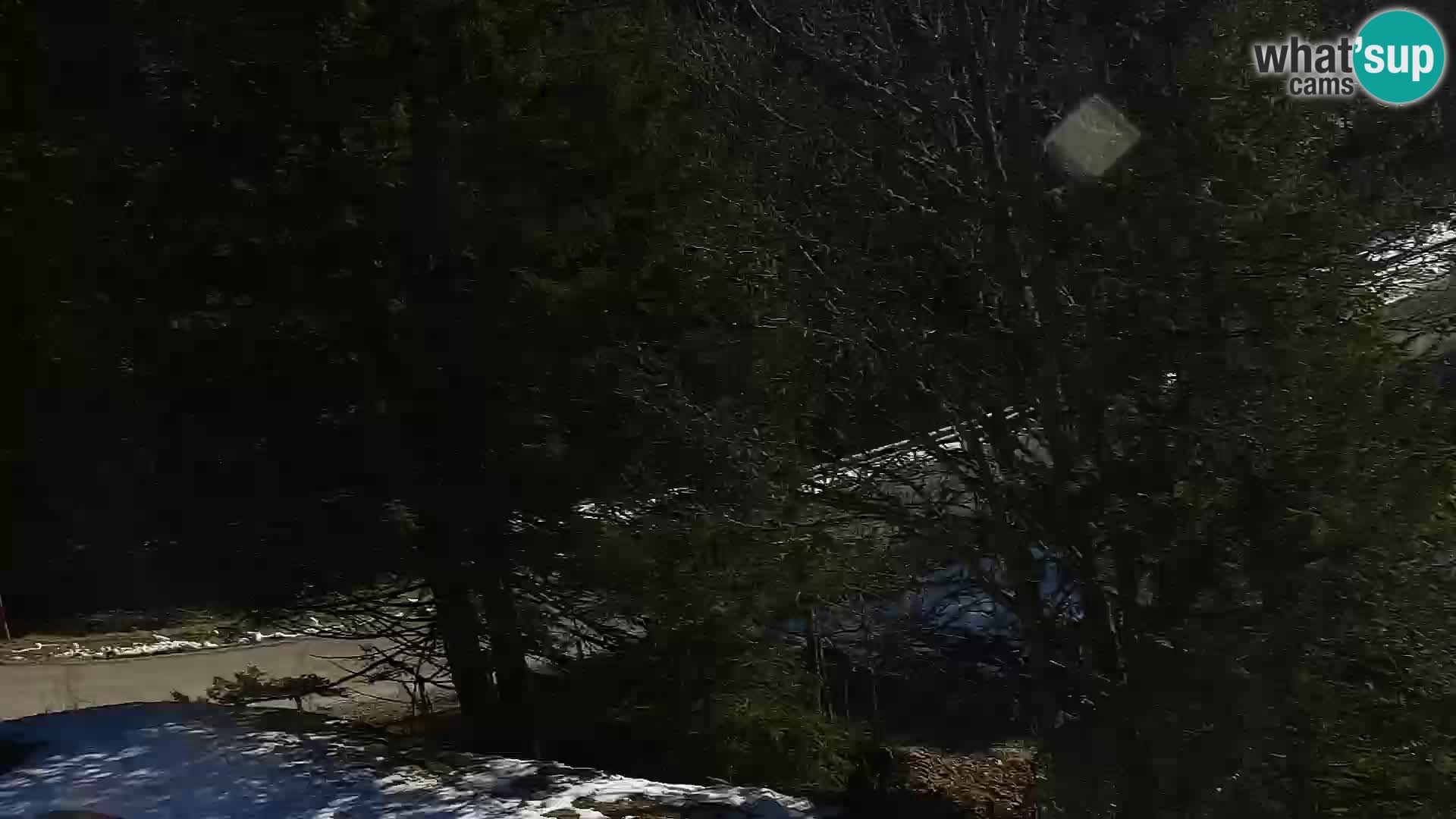 Live webcam Rogla appartamenti Dandi – Jurgovo