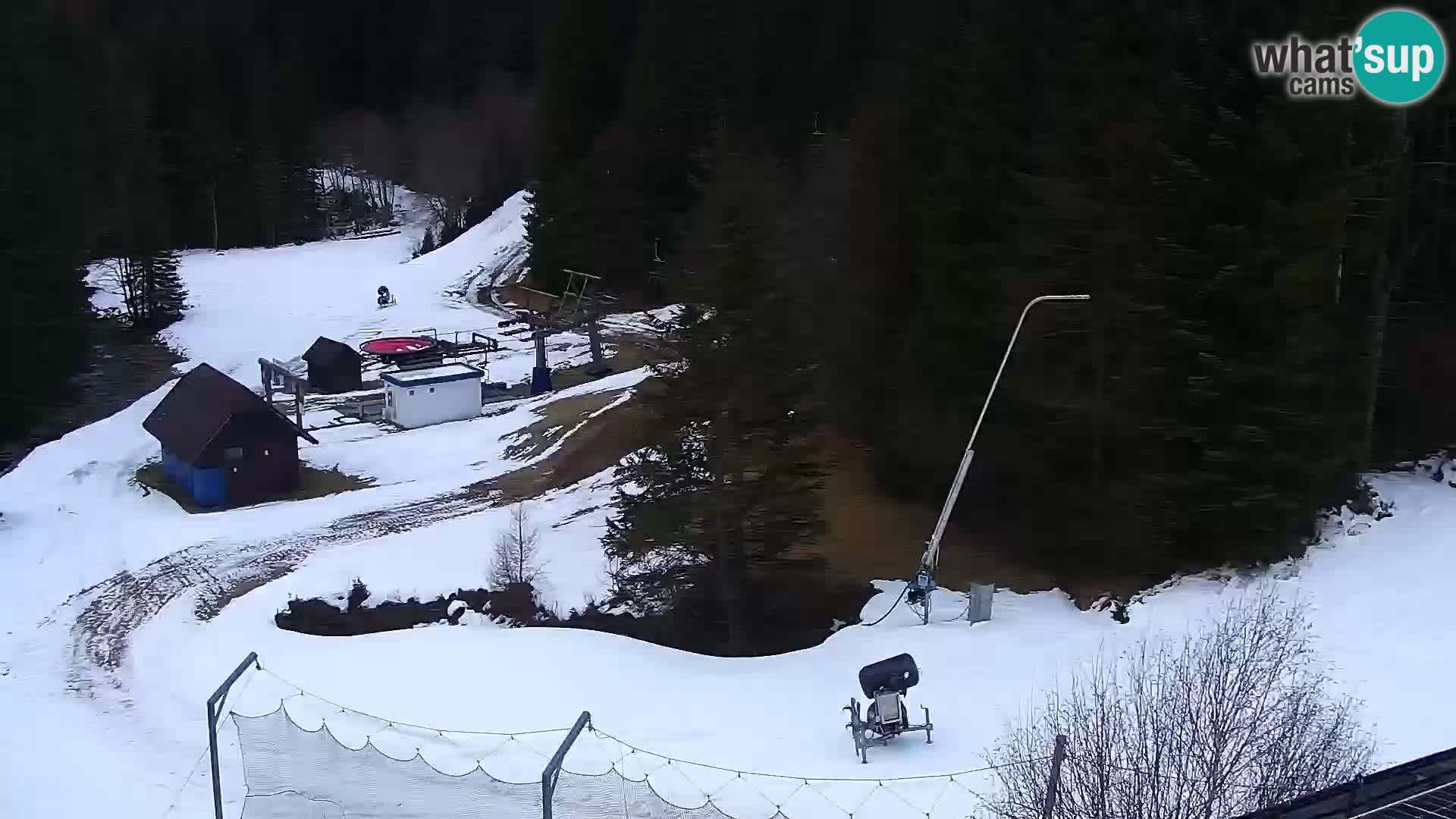 Webcam Rogla Wohnungen Dandi – Jurgovo