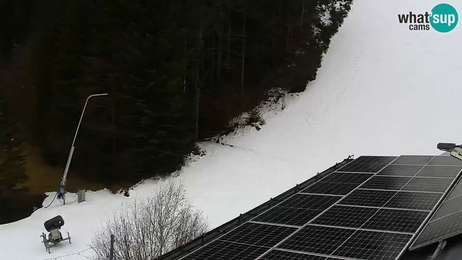 Webcam Rogla Wohnungen Dandi – Jurgovo