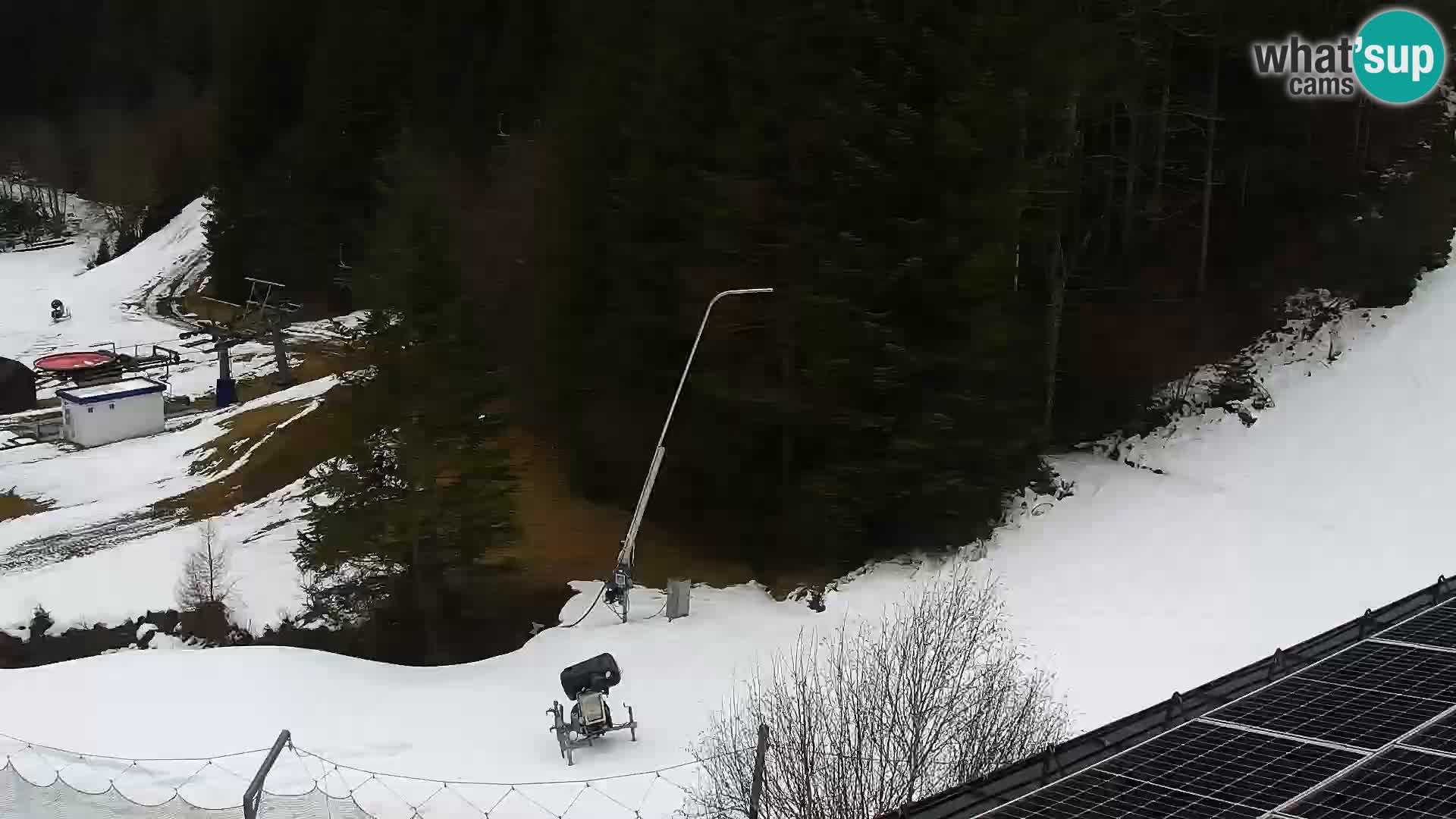 Spletna kamera Rogla apartmaji Dandi – Jurgovo