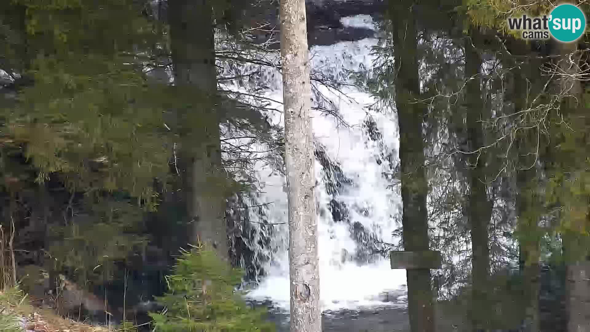 Spletna kamera Rogla apartmaji Dandi – Jurgovo