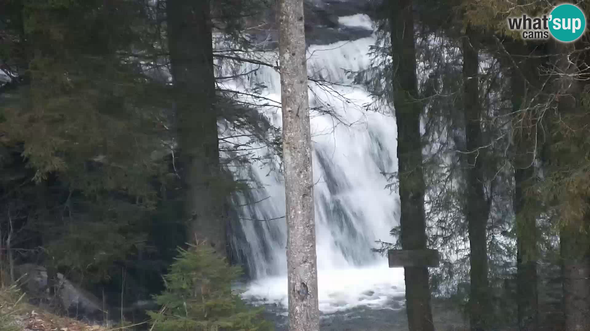 Spletna kamera Rogla apartmaji Dandi – Jurgovo