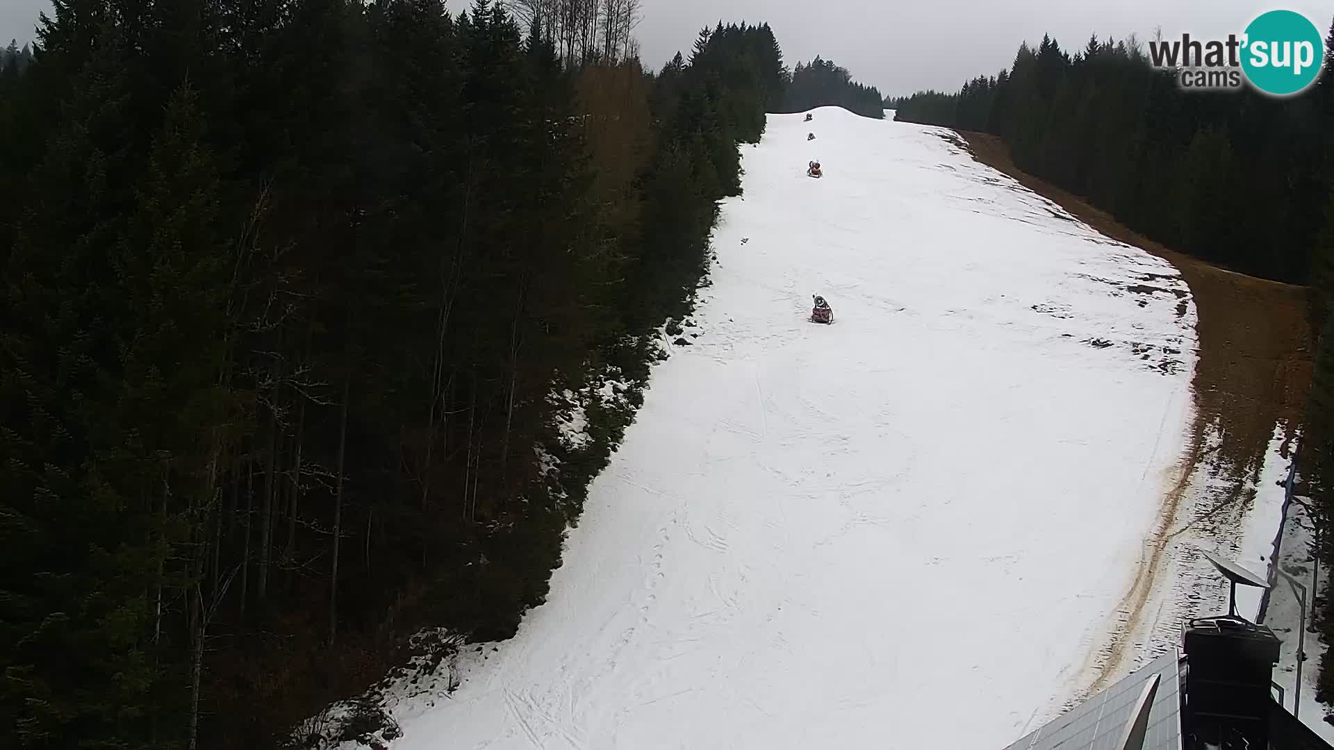 Live Rogla appartements Dandi – Jurgovo