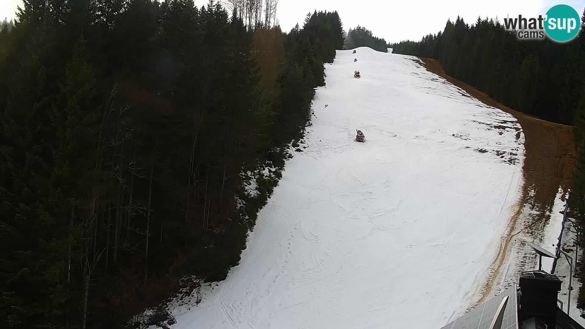 Live Rogla appartements Dandi – Jurgovo