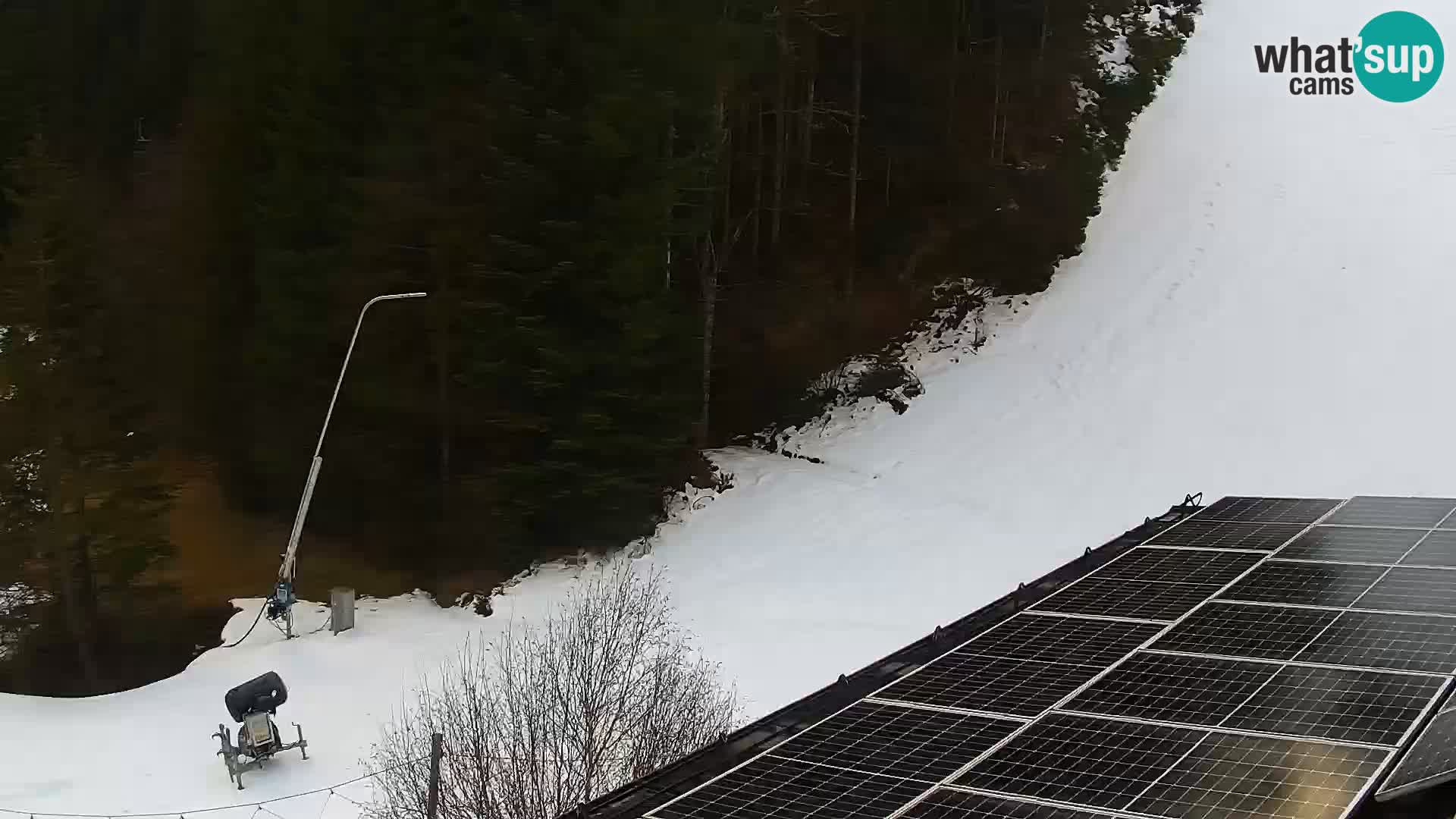 Live Rogla appartements Dandi – Jurgovo