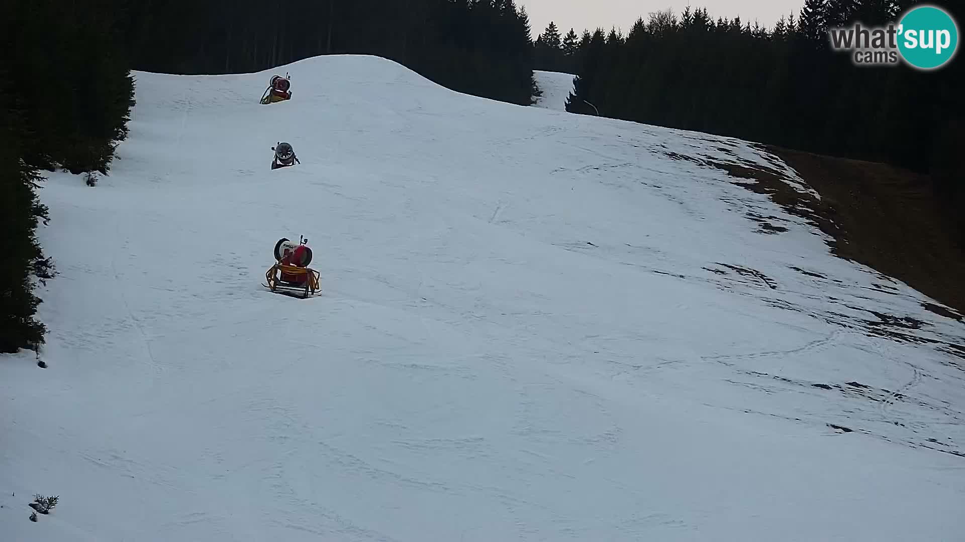 Webcam Rogla Wohnungen Dandi – Jurgovo