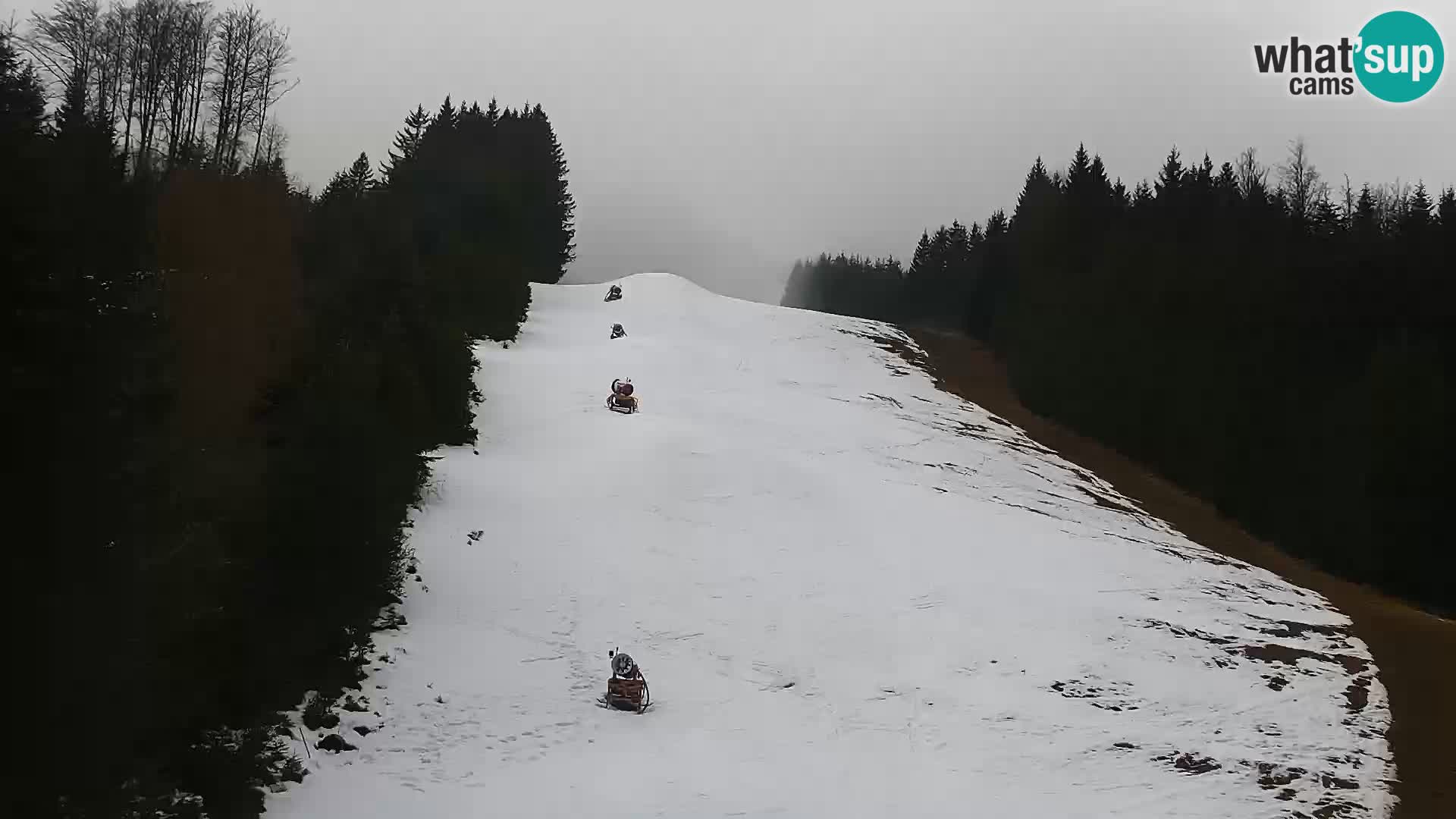 Web kamera Rogla apartmani Dandi – Jurgovo