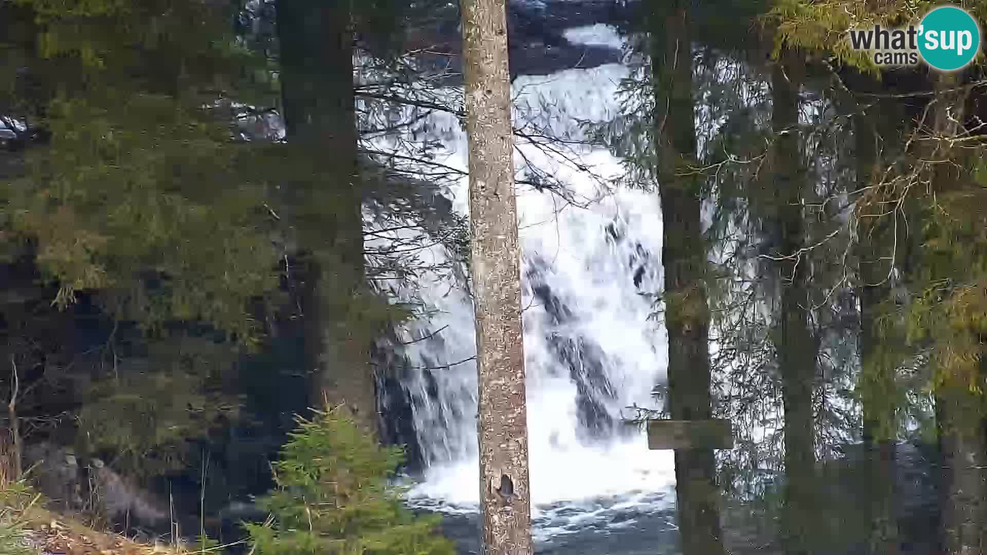 Camera en vivo Rogla appartamentos Dandi – Jurgovo